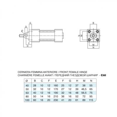 Female hinge rear/front stainless steel cylinders 15552 stainless steel Bore 50